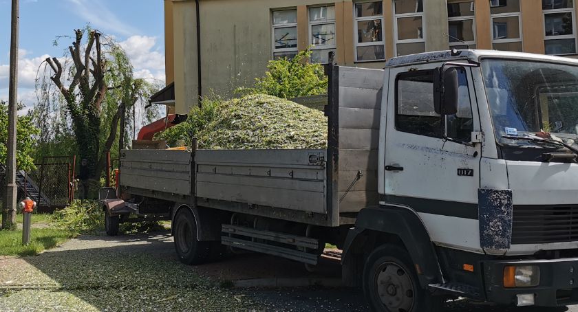 Wycinka w sezonie lęgowym, ale bezpieczna – Interwencja Towarzystwa Ochrony Ptaków 