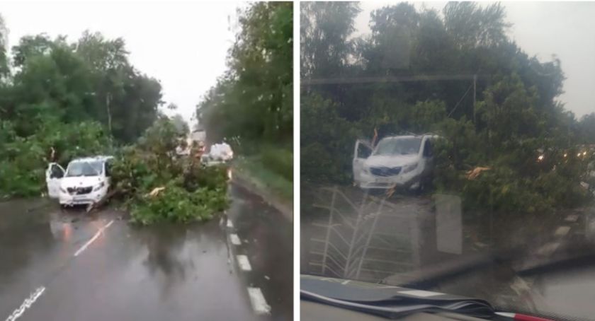 Powalone drzewa, zniszczone samochody i utrudnienia na drogach