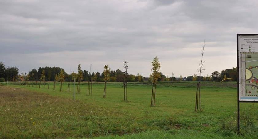 Akcja 