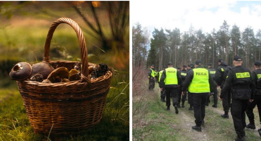 Policja ostrzega i apeluje do grzybiarzy