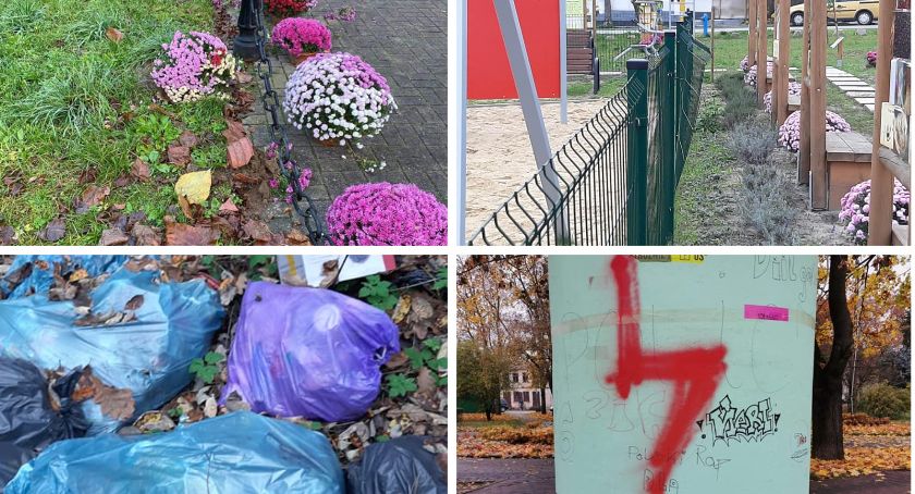 Potrzebny monitoring na każdym słupie lub drzewie? – Wandalizm w Łaskarzewie