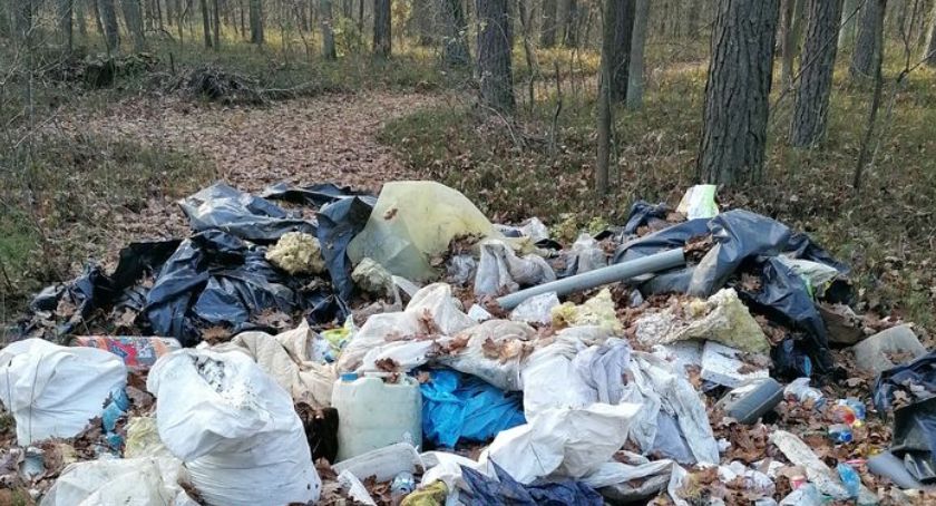 Szukał poroży, znalazł góry śmieci