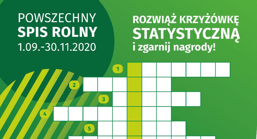Rozwiąż krzyżówkę statystyczną i zgarnij nagrody!