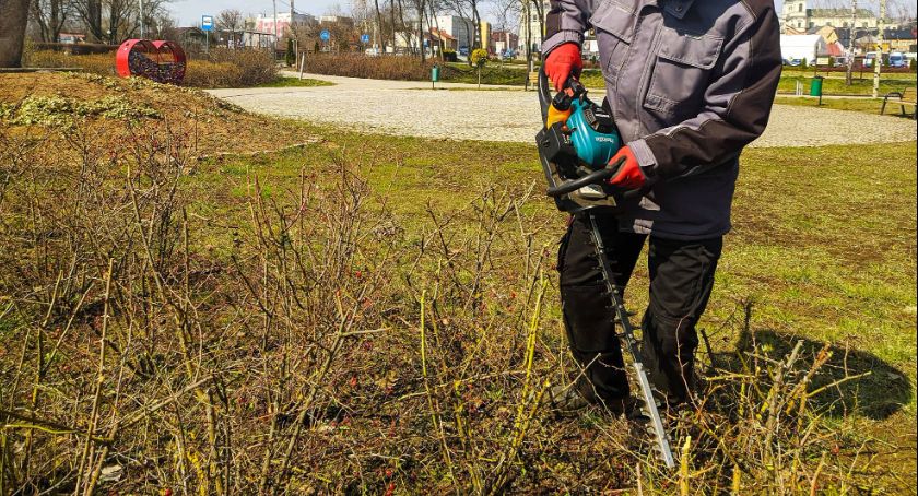 Trwają cięcia drzew i krzewów