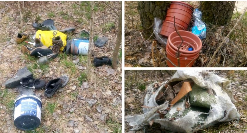 Nie chcą dzikich wysypisk w lesie – Spontaniczna akcja mieszkańców