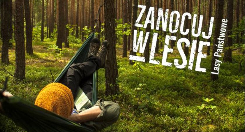 Zanocuj w lesie – Baza miejsc do biwakowania