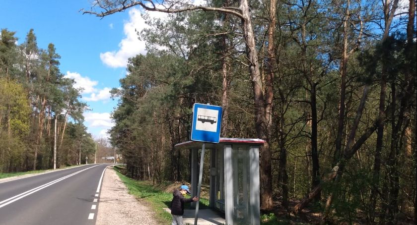 Uschnięte drzewa mogą doprowadzić do nieszczęścia