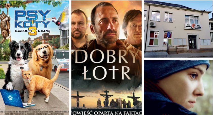 Otwarcie po lockdownie – Kino Wilga zaprasza widzów 