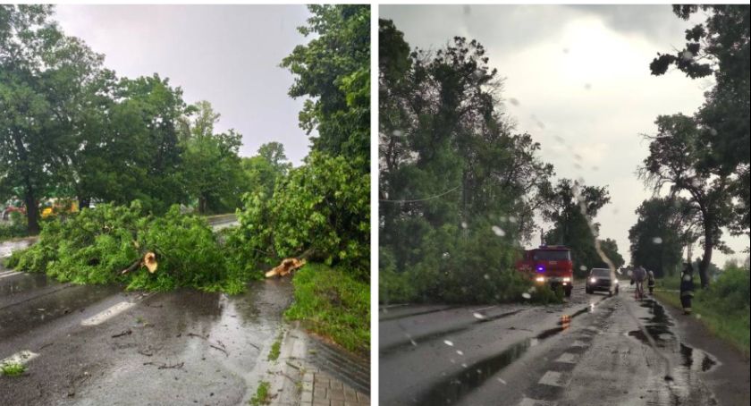 Burza nad powiatem – Straż usuwa powalone drzewa i pompuje wodę