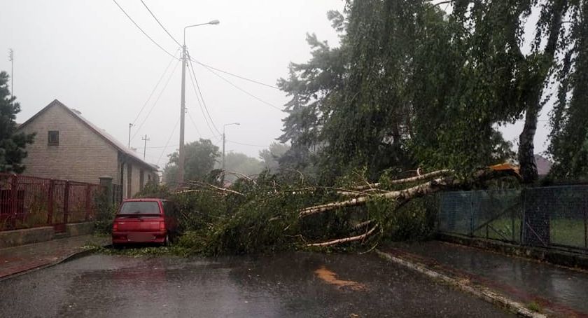 Drzewo przewróciło się na ulicę i samochód, zalane drogi, uszkodzony dach
