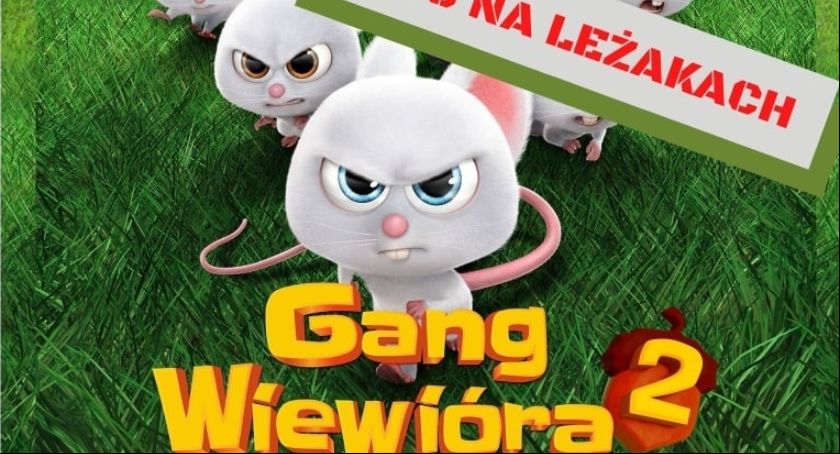 Kino na leżakach w Żelaznej
