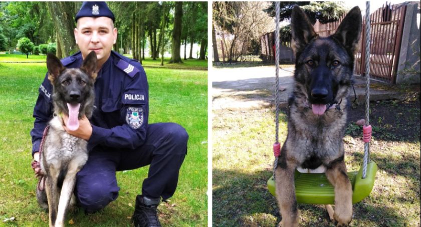 Nasza komenda ma nowego czworonożnego funkcjonariusza