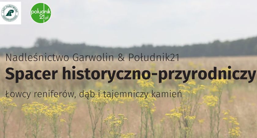Łowcy reniferów, dąb i tajemniczy kamień – Spacer historyczno-przyrodniczy cz. 5