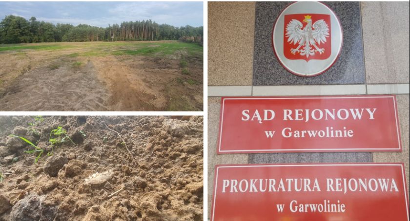 Ludzkie kości i elementy ceramiki na działce? Sprawę bada prokuratura