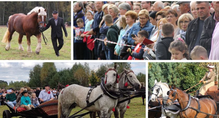 Wielkie Święto Hodowców Koni za nami