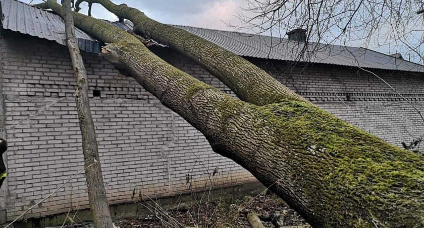 Strażacka kronika zdarzeń PSP w Garwolinie