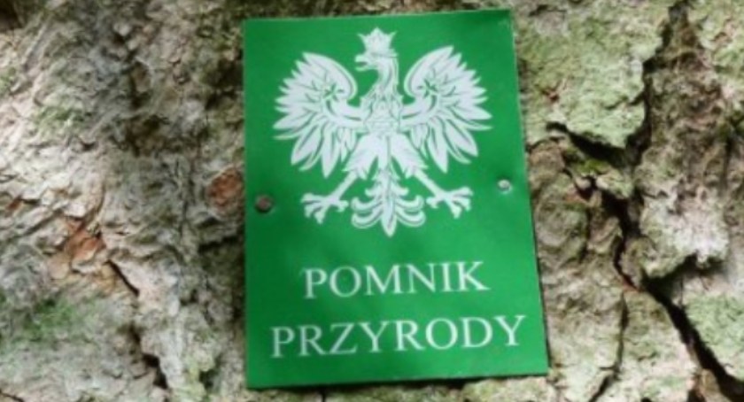 Podczas wycieczki odsłonią tablicę