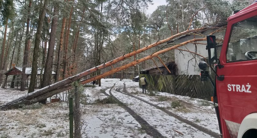 Skutki wichury nad powiatem – Strażacy interweniowali 30 razy