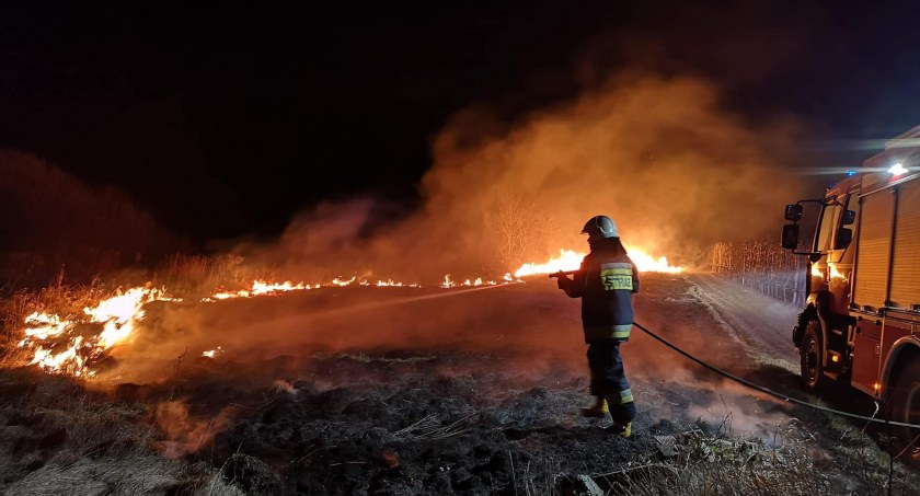 46 pożarów traw i poszycia lasów w tydzień!