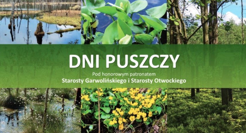 Dni Puszczy już w maju – Program