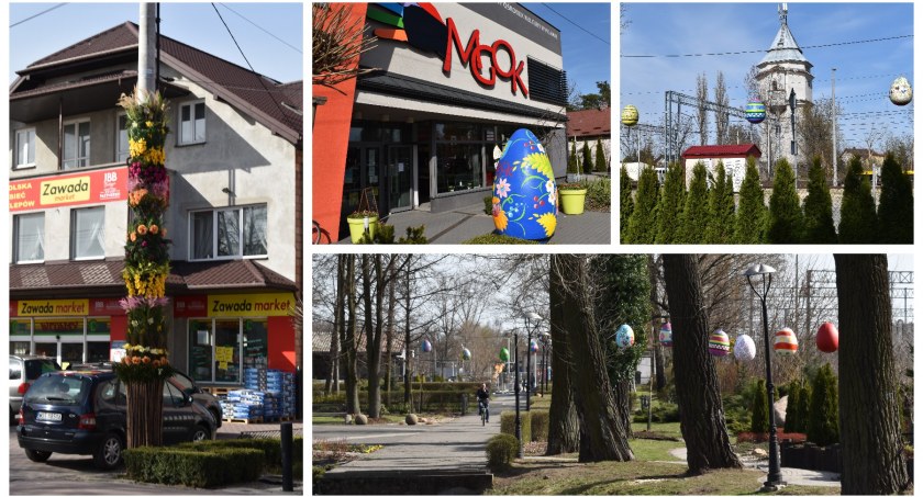 Olbrzymia palma, gigantyczna pisanka i jajeczka między drzewami Pilawa pięknieje na Wielkanoc!