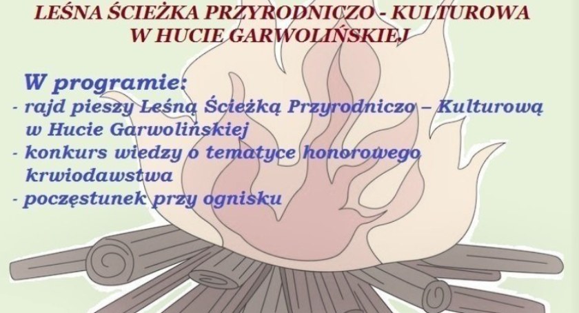 Termin zgłoszeń wydłużony Integracja dla Honorowych Krwiodawców