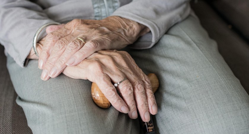 Korpus wsparcia seniorów w gminie Borowie