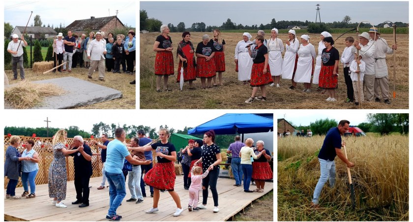 Żniwa i sianokosy jak za dawnych lat