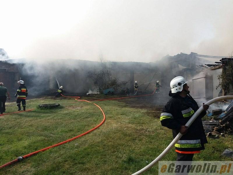 Pożar budynków gospodarczych w Żabieńcu (video i zdjęcia)