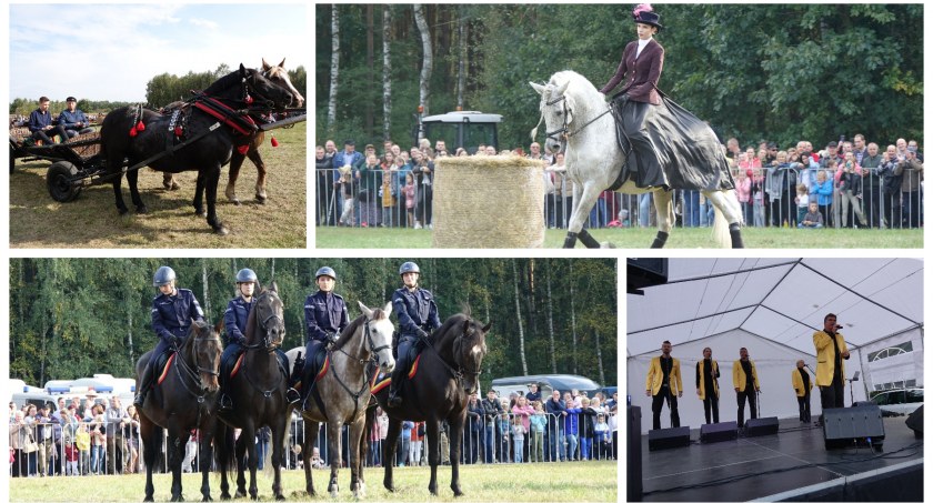 10. Regionalne Święto Hodowców Koni za nami