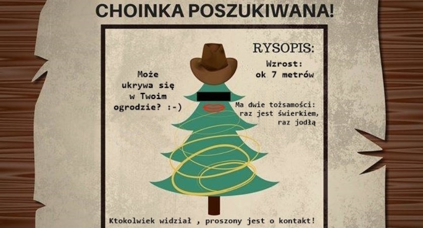 List gończy za... choinką! To ogłoszenie Was zachwyci!