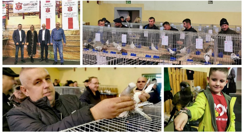 Gołębie powróciły do Garwolina po pandemicznej przerwie