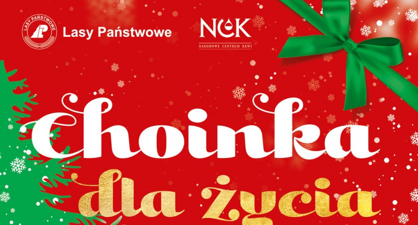 Oddaj krew i odbierz choinkę! 