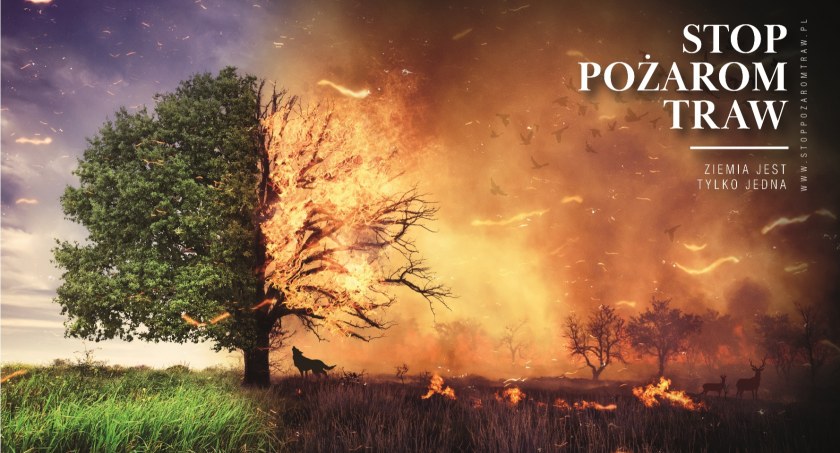 Stop pożarom traw – kampania społeczna Państwowej Straży Pożarnej