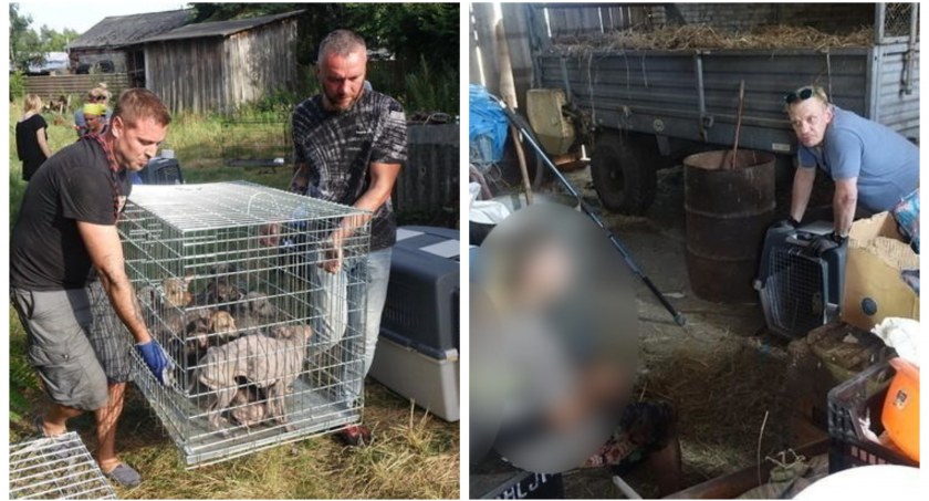 Kobieta oskarżona o znęcanie się nad zwierzętami