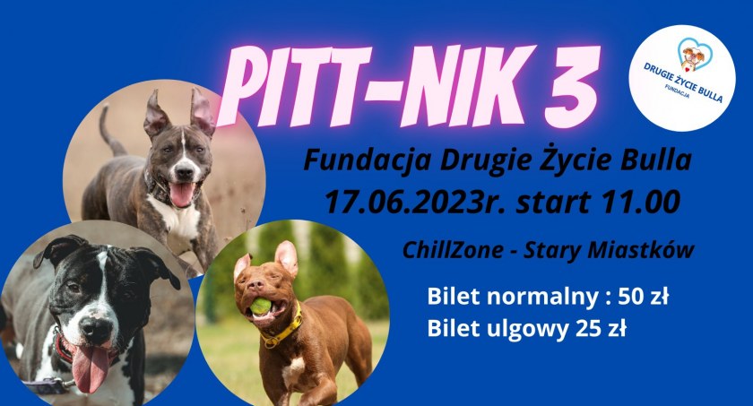 Pitt-Nik 3 już w sobotę! – Drugie Życie Bulla