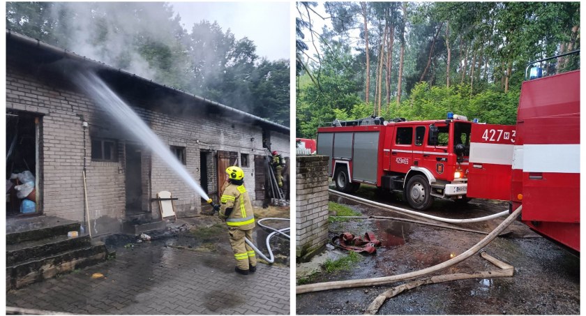Pożar budynku gospodarczego – W środku były zwierzęta