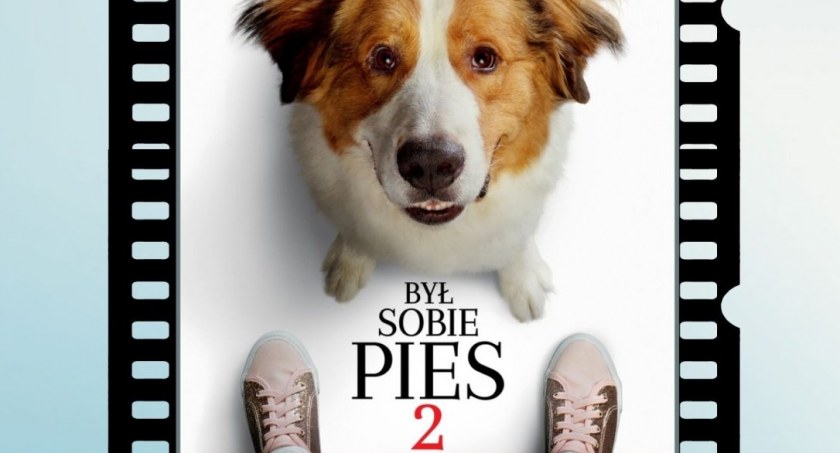 Wakacyjne kino plenerowe ponownie w Żelechowie