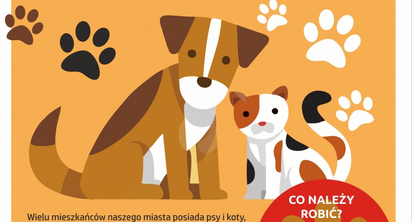 Bezpłatna sterylizacja, kastracja i czipowanie – Dbajmy o swoich pupili w Garwolinie