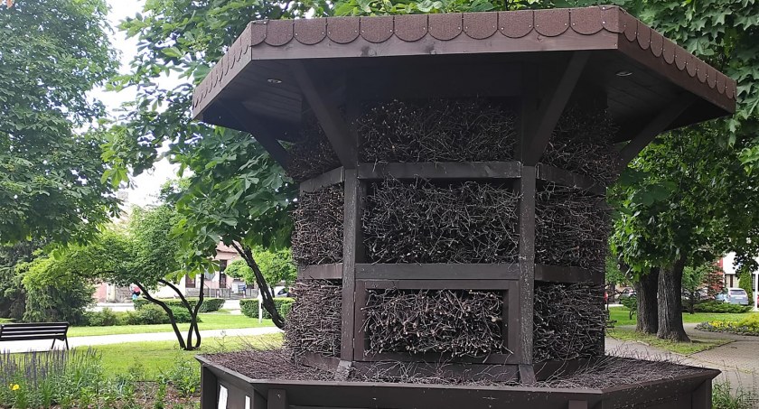 Przez nowe ogniska Legionelli wyłączyli tężnię – 