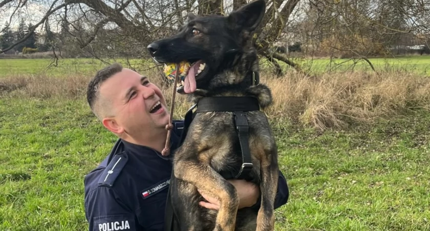 Sukces Fridy! Czworonożna policjantka spisała się na medal!