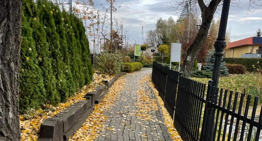 Park miejski w Pilawie czasowo zamknięty