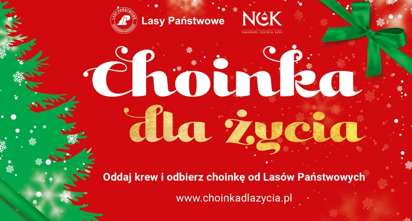 Akcja na święta! Oddaj krew i odbierz choinkę!