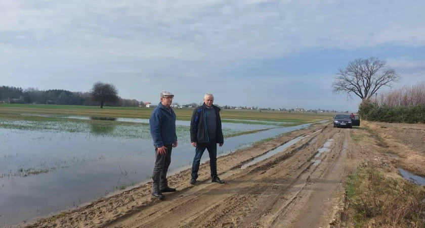 Okolice drogi jak pola ryżowe