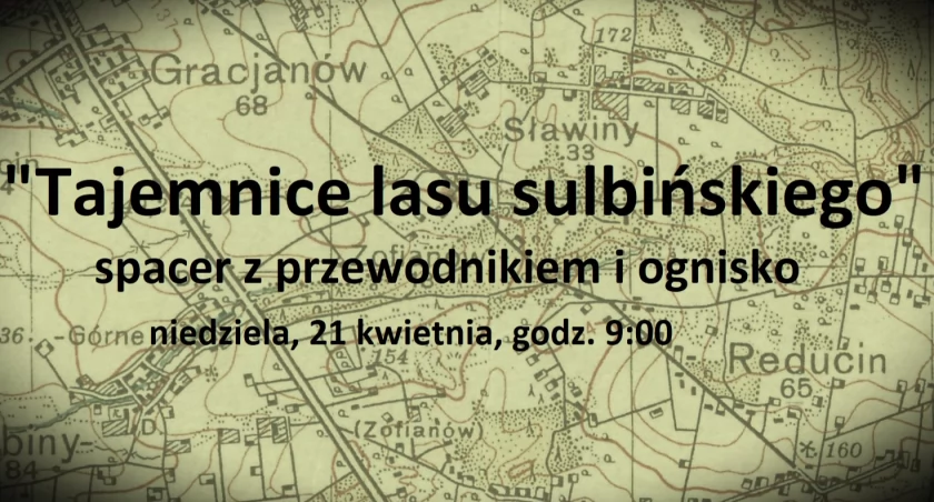 Tajemnice sulbińskiego lasu – Kolejny spacer w niedzielę
