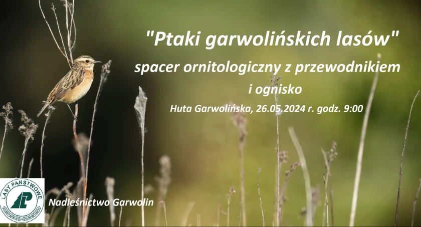 Spacer ornitologiczny z przewodnikiem i ognisko