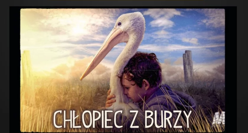Wakacyjne kino plenerowe w Żelechowie