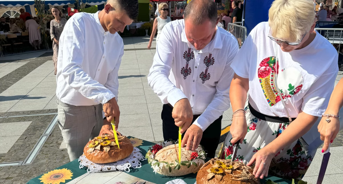Tradycja, plony i wspólne świętowanie w Parysowie [ZDJĘCIA]