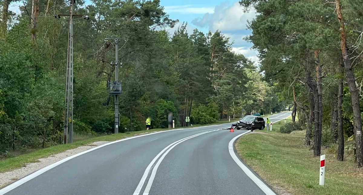 Zasnął za kierownicą i uderzył w drzewo