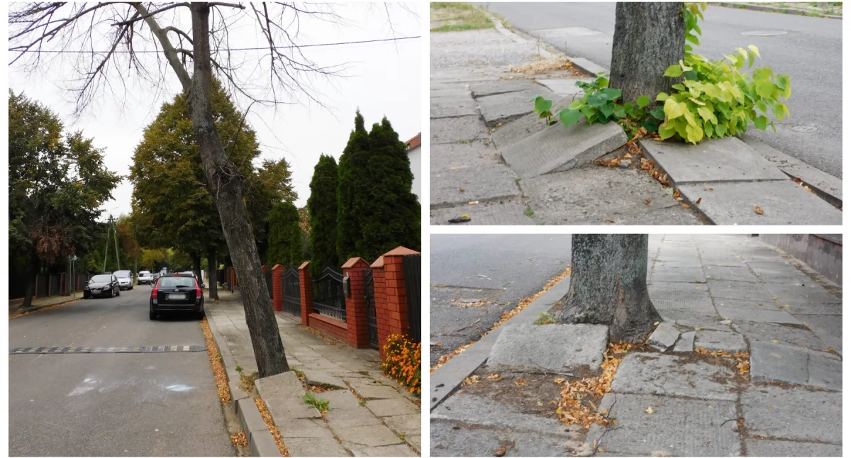 W oczekiwaniu na nieszczęście